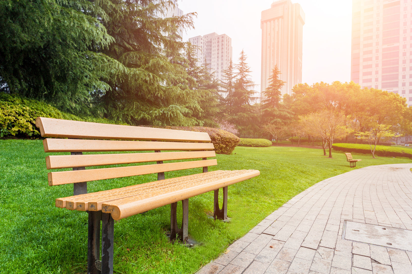 empty park bench in park